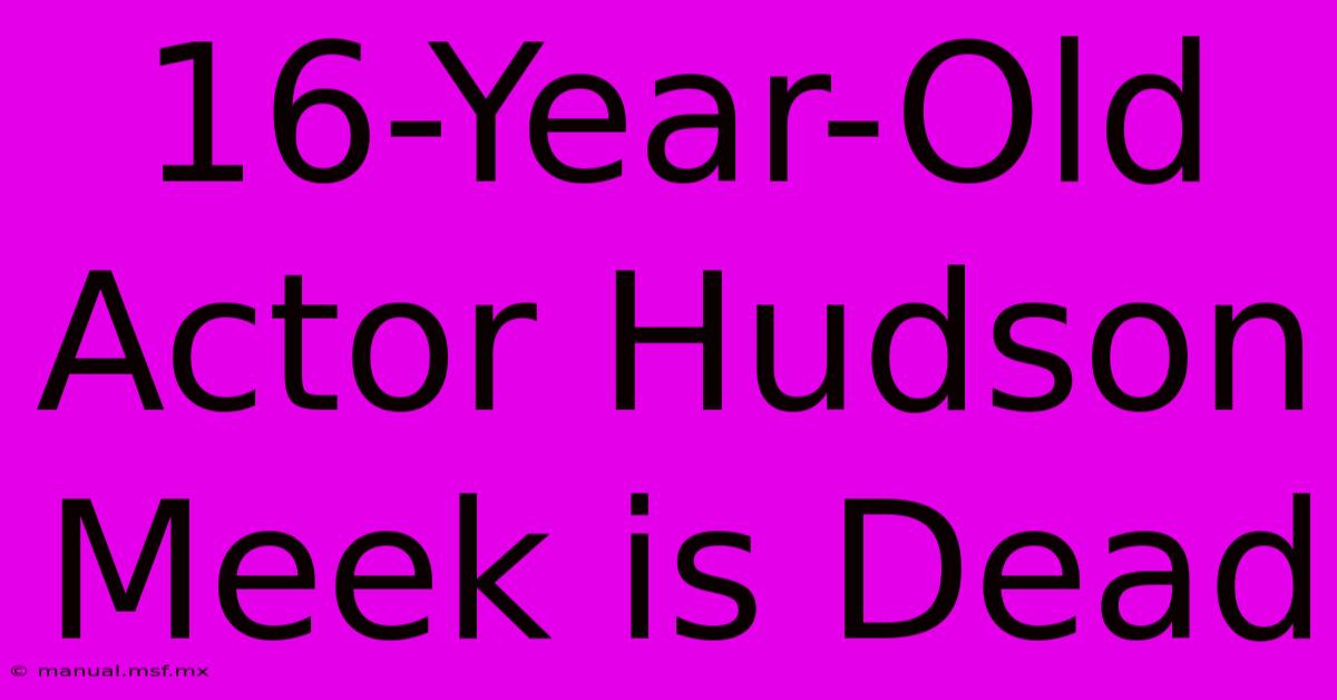 16-Year-Old Actor Hudson Meek Is Dead