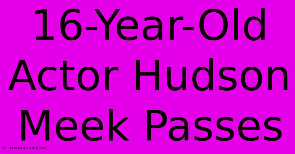 16-Year-Old Actor Hudson Meek Passes