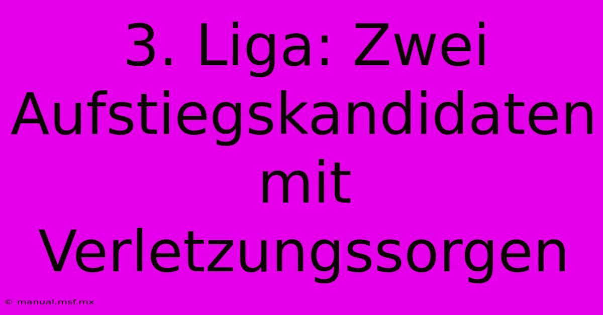 3. Liga: Zwei Aufstiegskandidaten Mit Verletzungssorgen