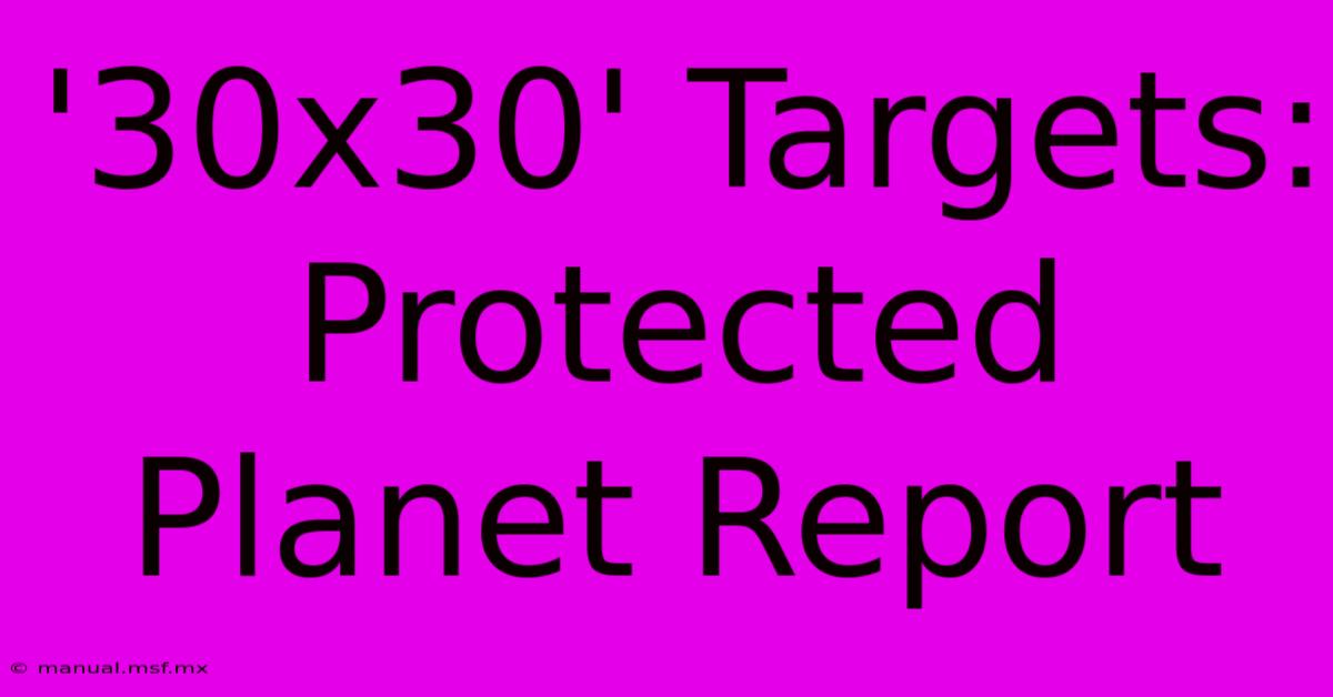 '30x30' Targets: Protected Planet Report 