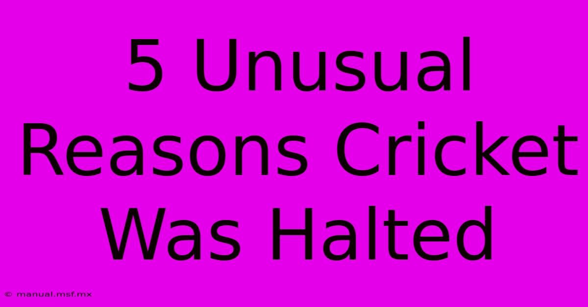 5 Unusual Reasons Cricket Was Halted