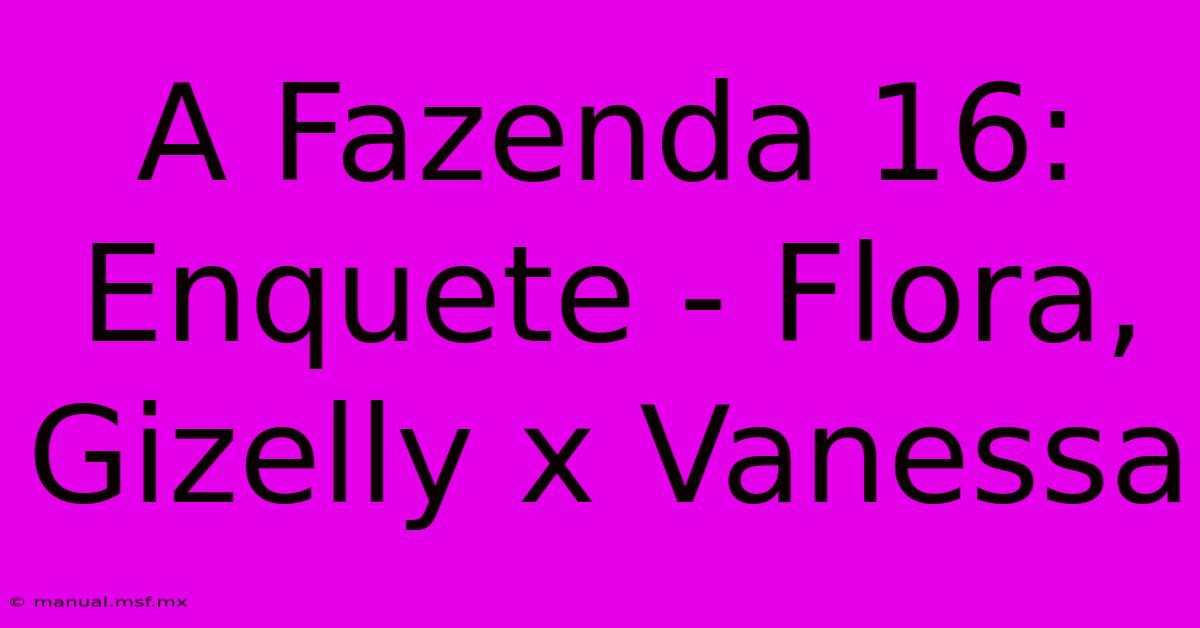 A Fazenda 16: Enquete - Flora, Gizelly X Vanessa 