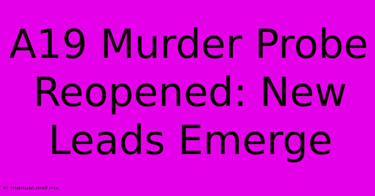 A19 Murder Probe Reopened: New Leads Emerge