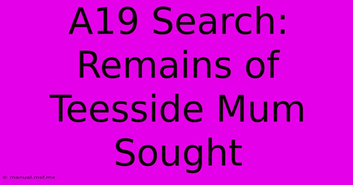 A19 Search: Remains Of Teesside Mum Sought