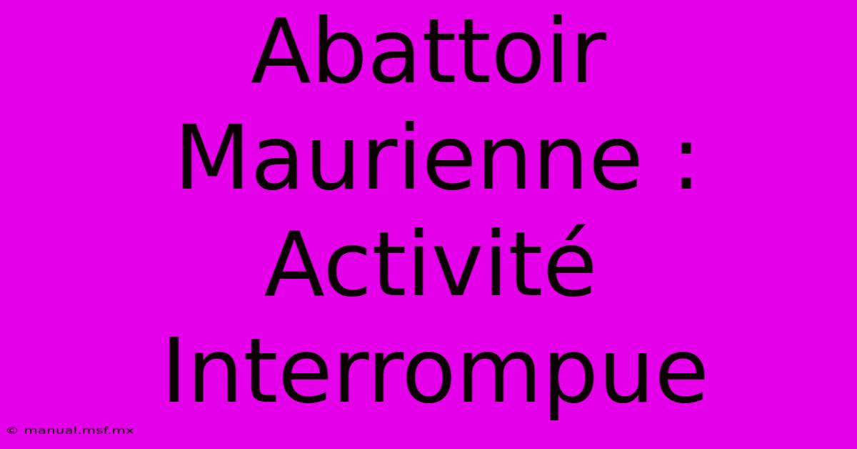 Abattoir Maurienne : Activité Interrompue 