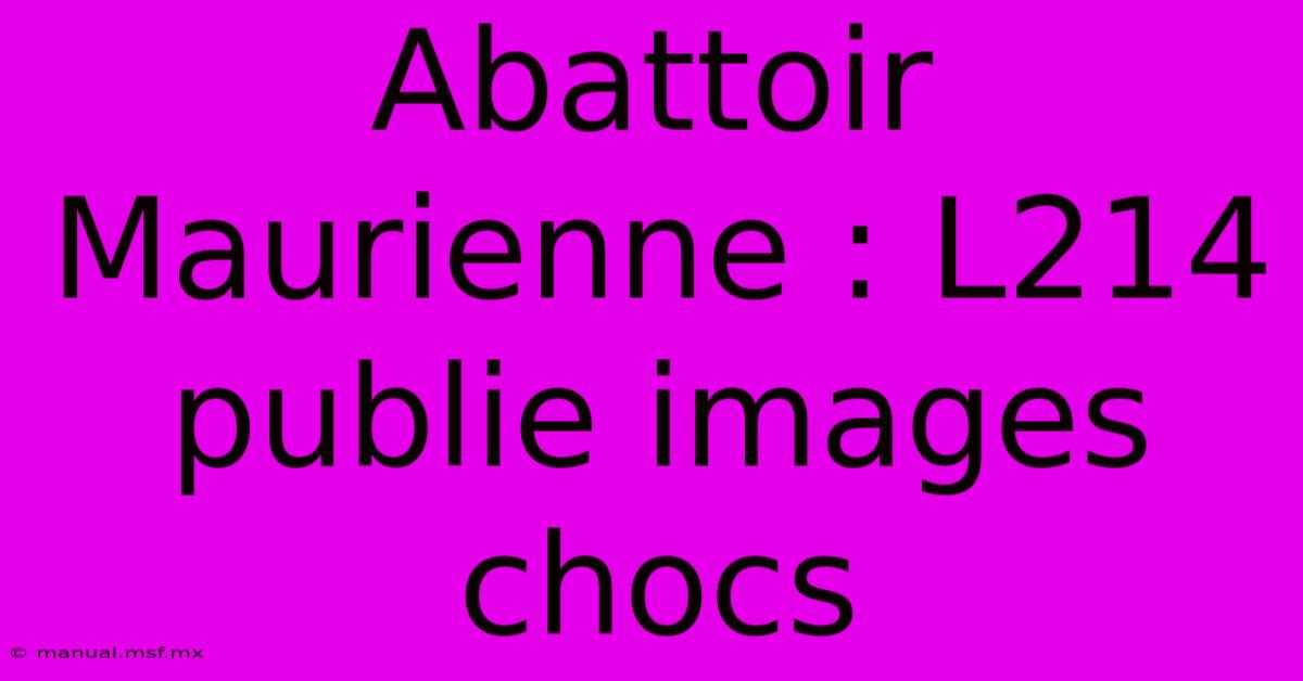 Abattoir Maurienne : L214 Publie Images Chocs