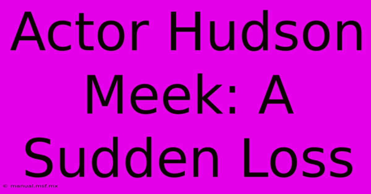 Actor Hudson Meek: A Sudden Loss