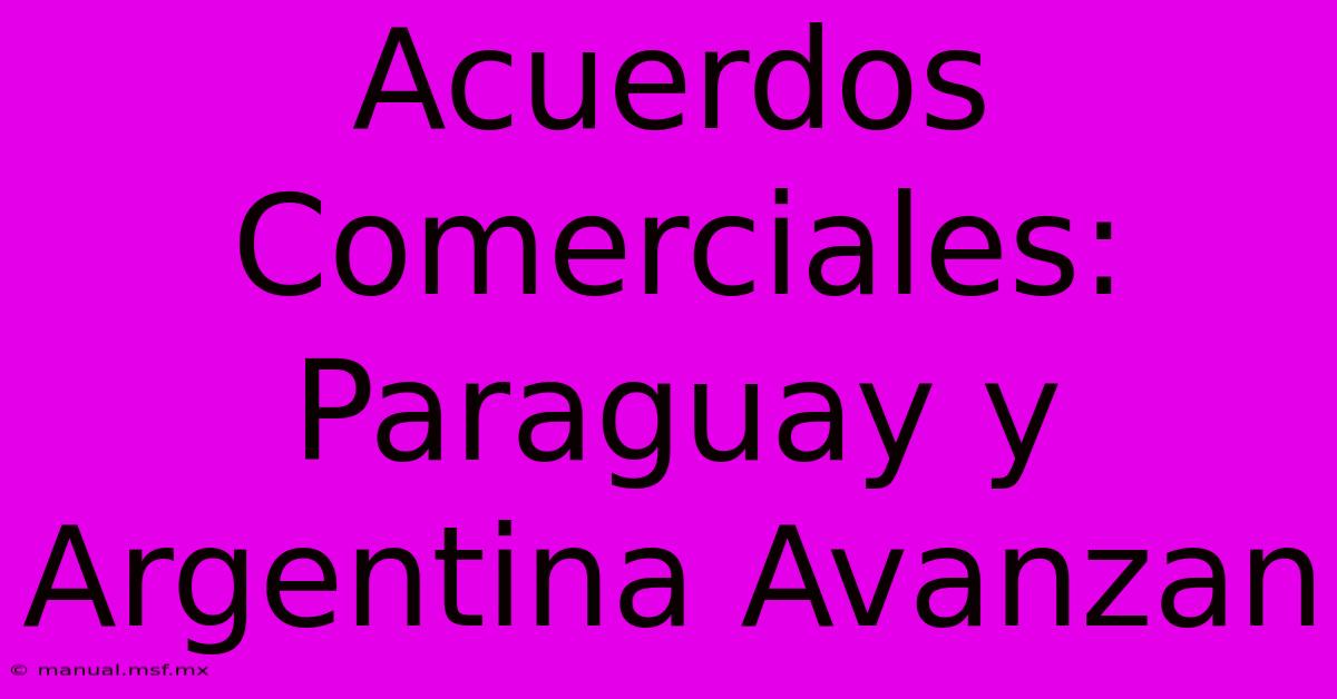 Acuerdos Comerciales: Paraguay Y Argentina Avanzan 