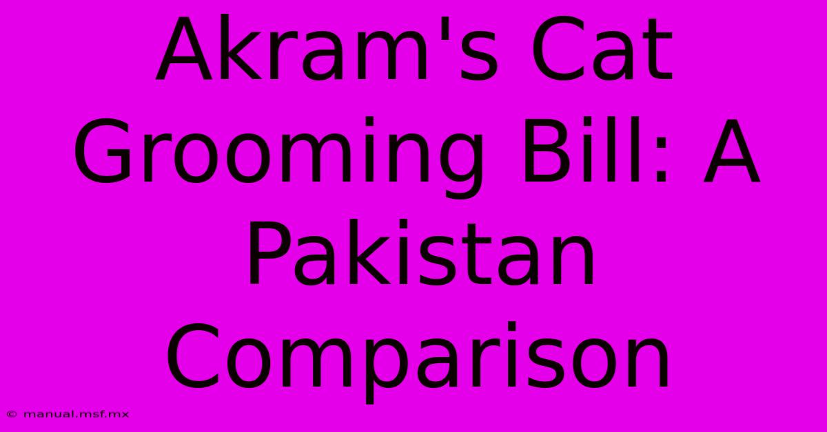 Akram's Cat Grooming Bill: A Pakistan Comparison 