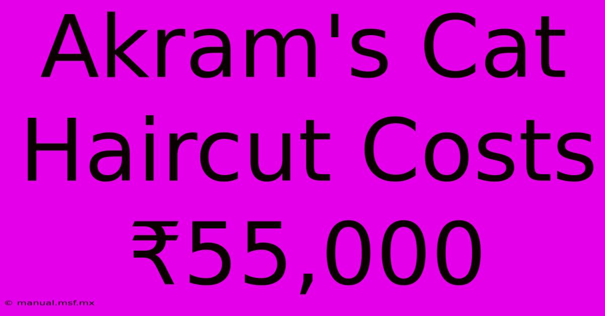 Akram's Cat Haircut Costs ₹55,000