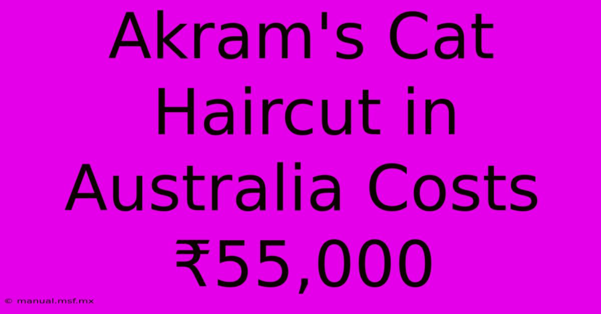 Akram's Cat Haircut In Australia Costs ₹55,000