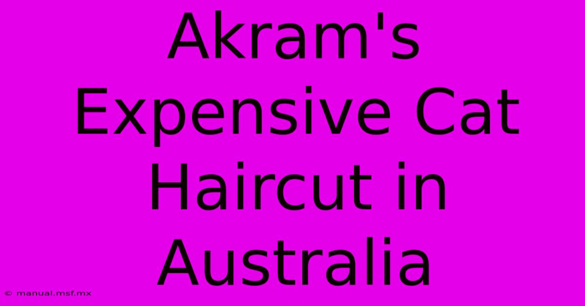 Akram's Expensive Cat Haircut In Australia