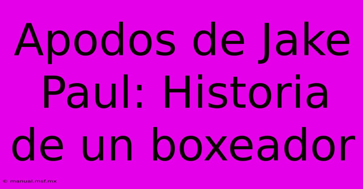 Apodos De Jake Paul: Historia De Un Boxeador