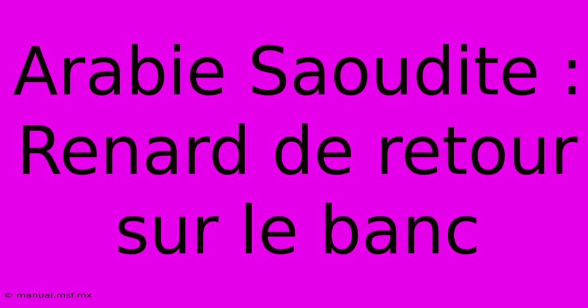 Arabie Saoudite : Renard De Retour Sur Le Banc