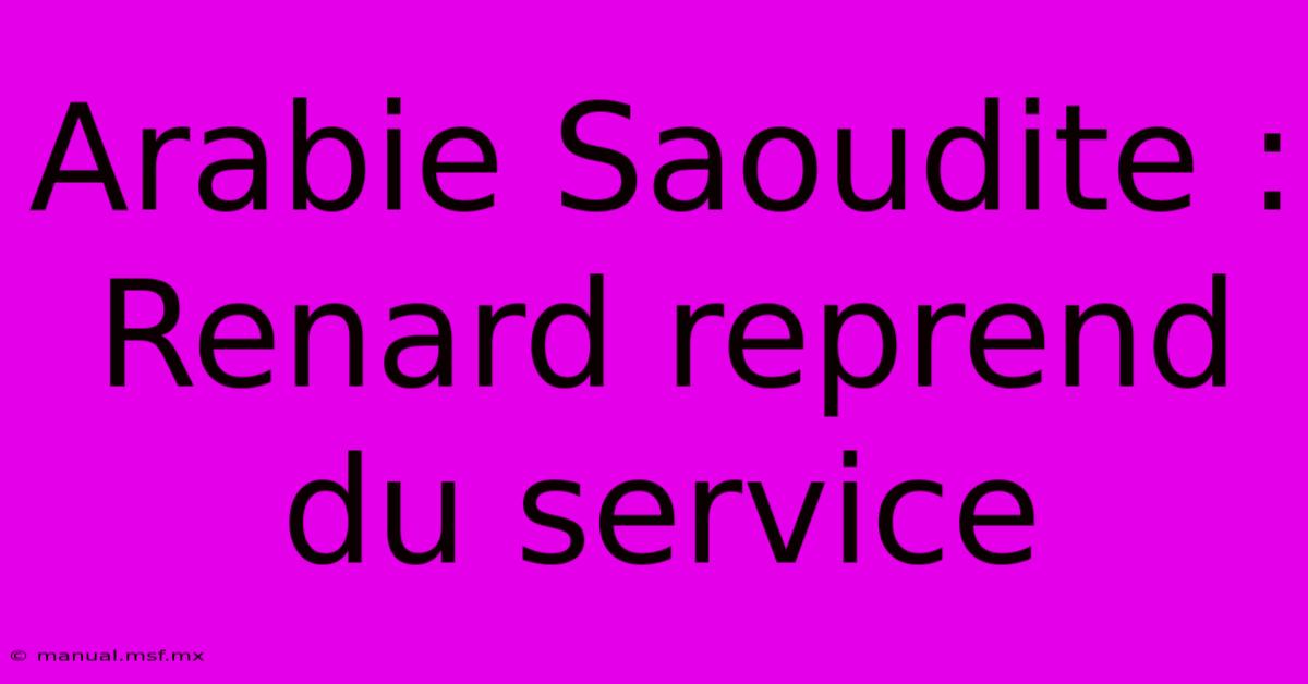 Arabie Saoudite : Renard Reprend Du Service 