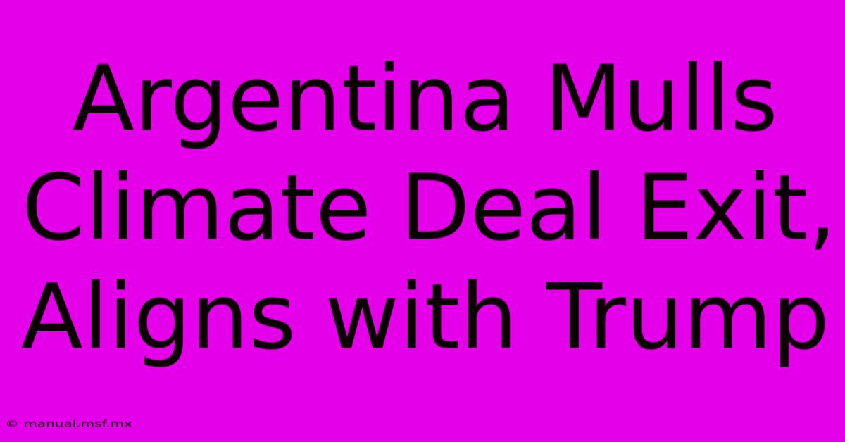 Argentina Mulls Climate Deal Exit, Aligns With Trump 