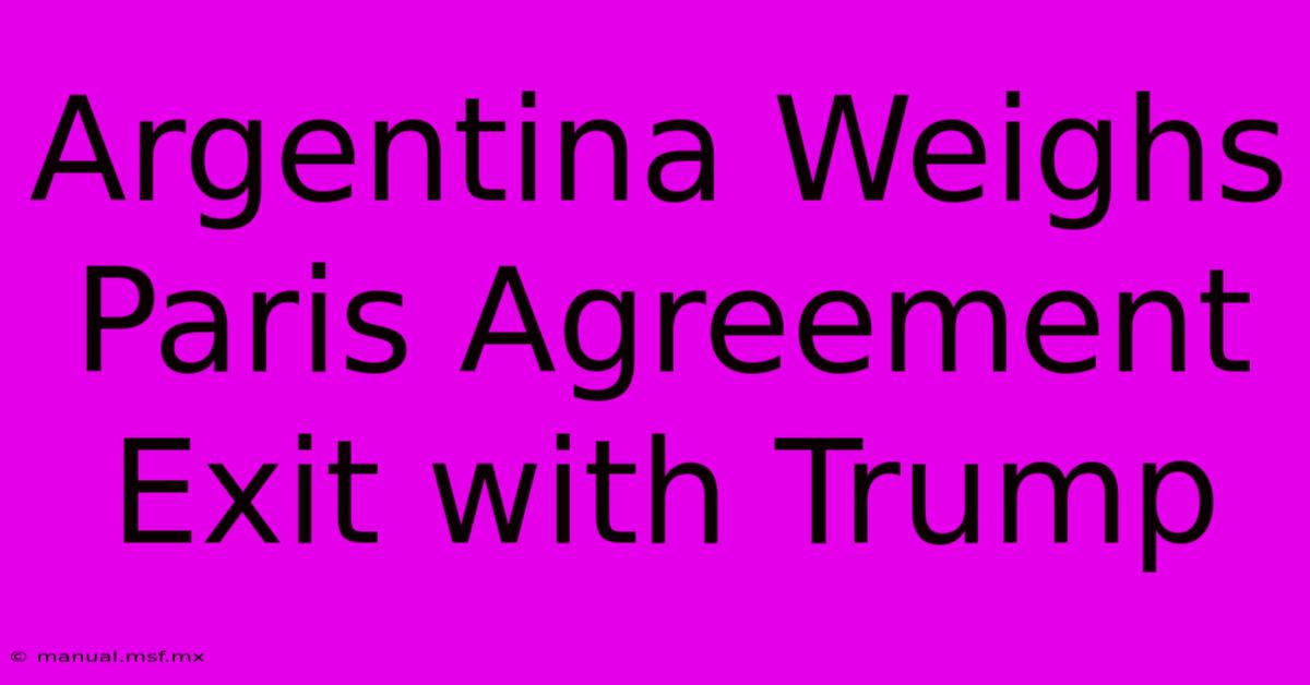 Argentina Weighs Paris Agreement Exit With Trump