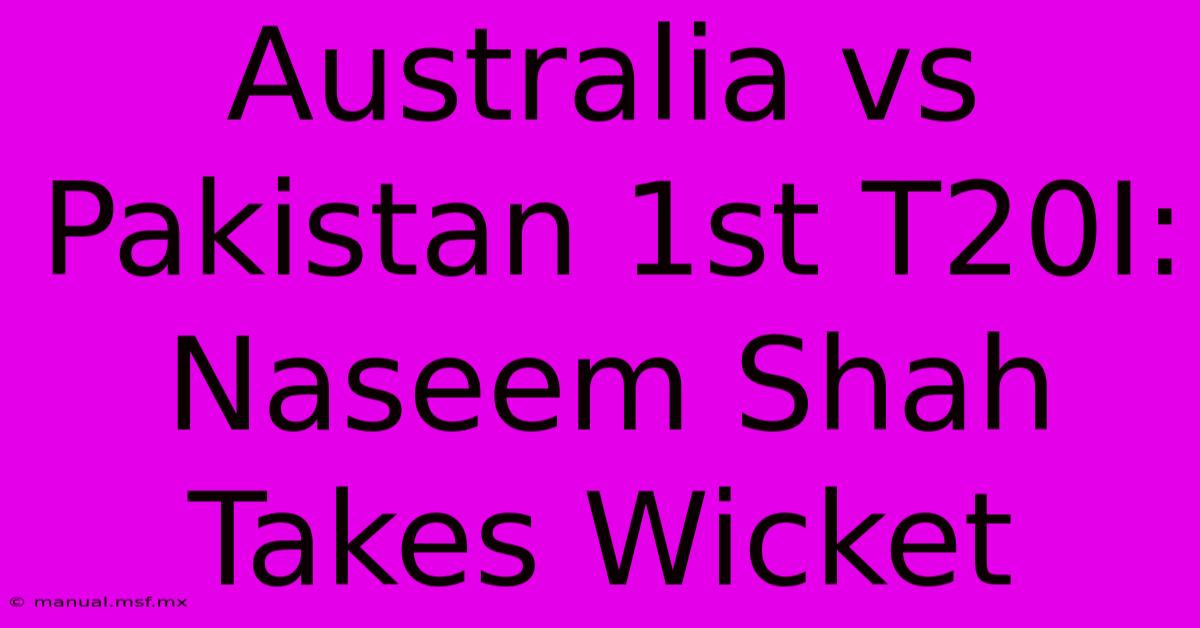 Australia Vs Pakistan 1st T20I: Naseem Shah Takes Wicket