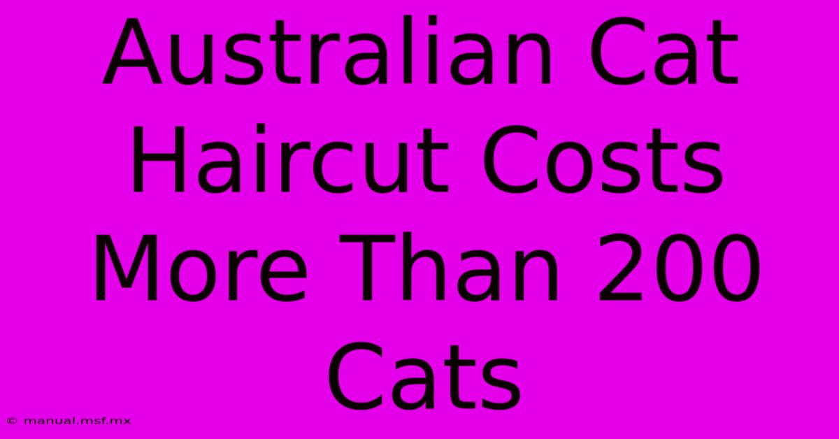 Australian Cat Haircut Costs More Than 200 Cats