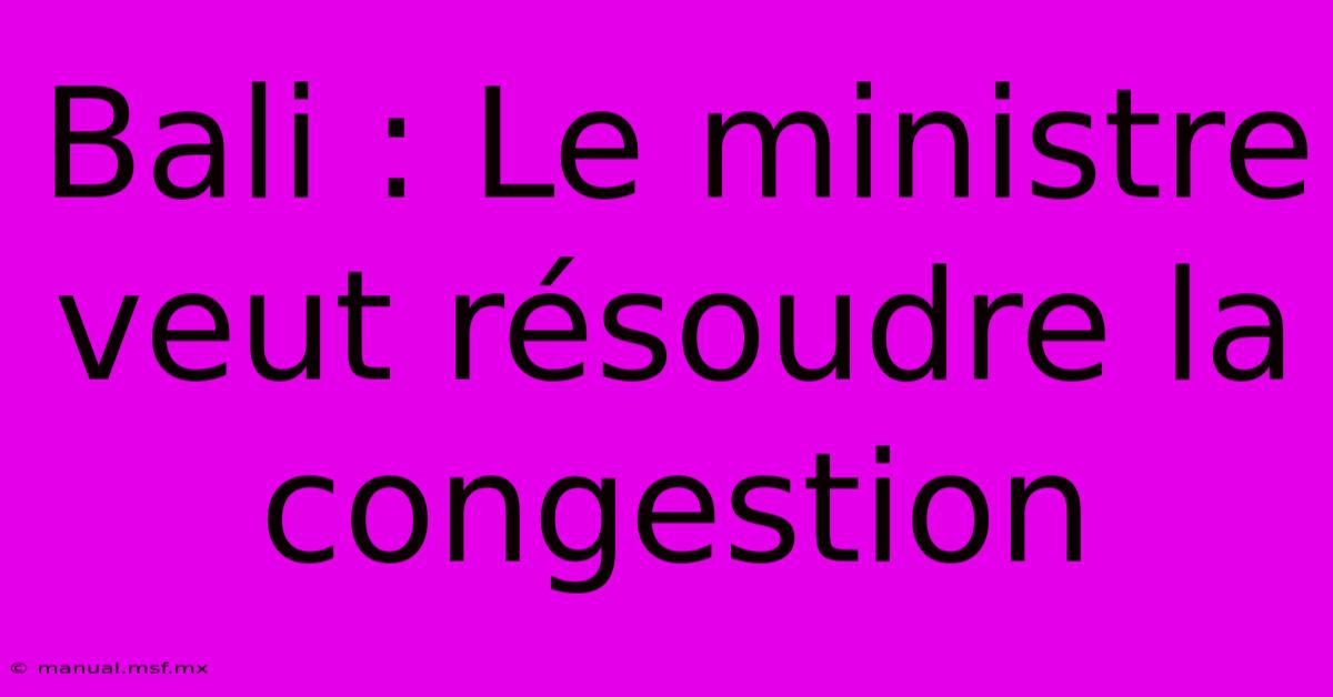 Bali : Le Ministre Veut Résoudre La Congestion 