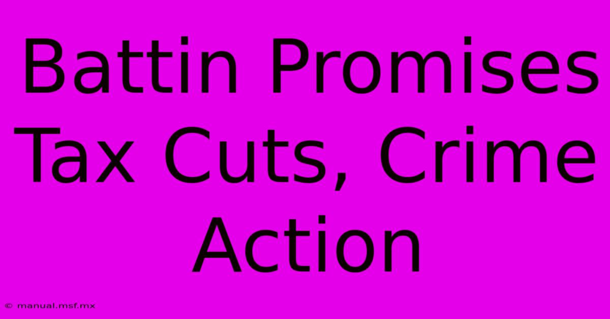 Battin Promises Tax Cuts, Crime Action