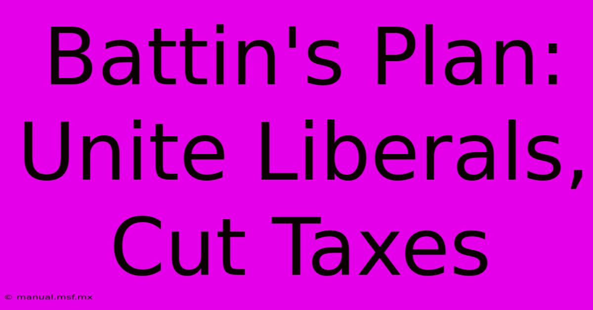 Battin's Plan: Unite Liberals, Cut Taxes