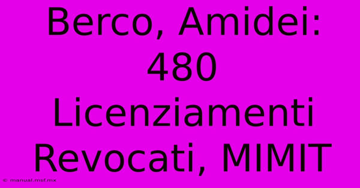 Berco, Amidei: 480 Licenziamenti Revocati, MIMIT