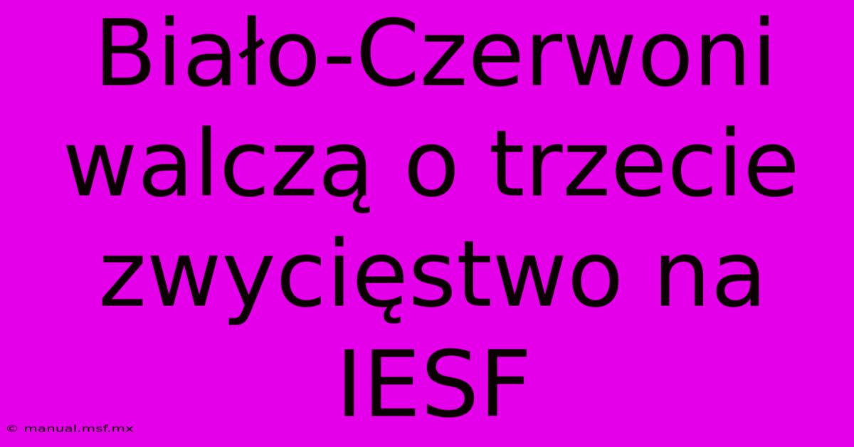 Biało-Czerwoni Walczą O Trzecie Zwycięstwo Na IESF