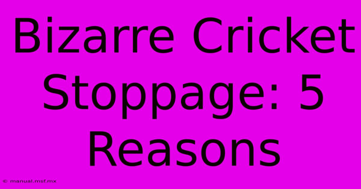 Bizarre Cricket Stoppage: 5 Reasons 