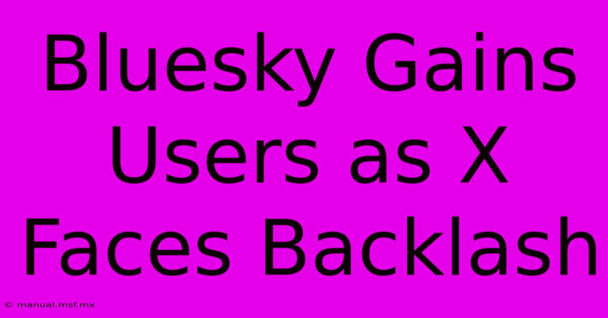 Bluesky Gains Users As X Faces Backlash