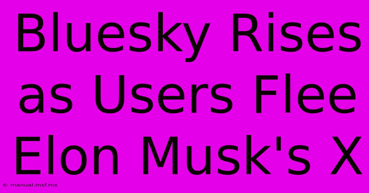 Bluesky Rises As Users Flee Elon Musk's X