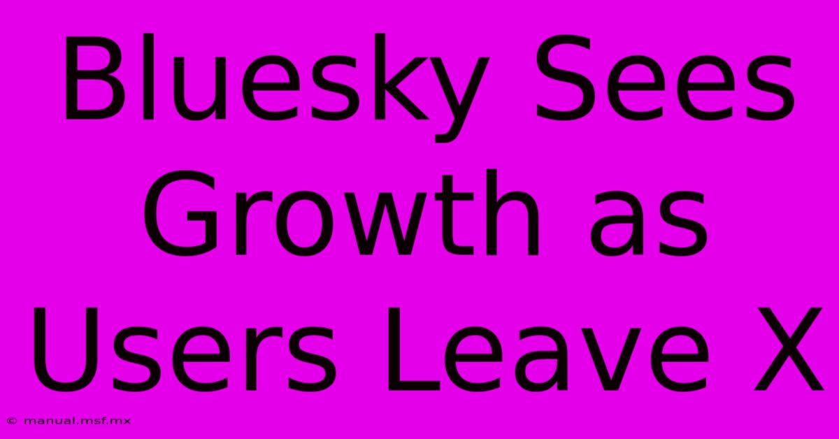 Bluesky Sees Growth As Users Leave X