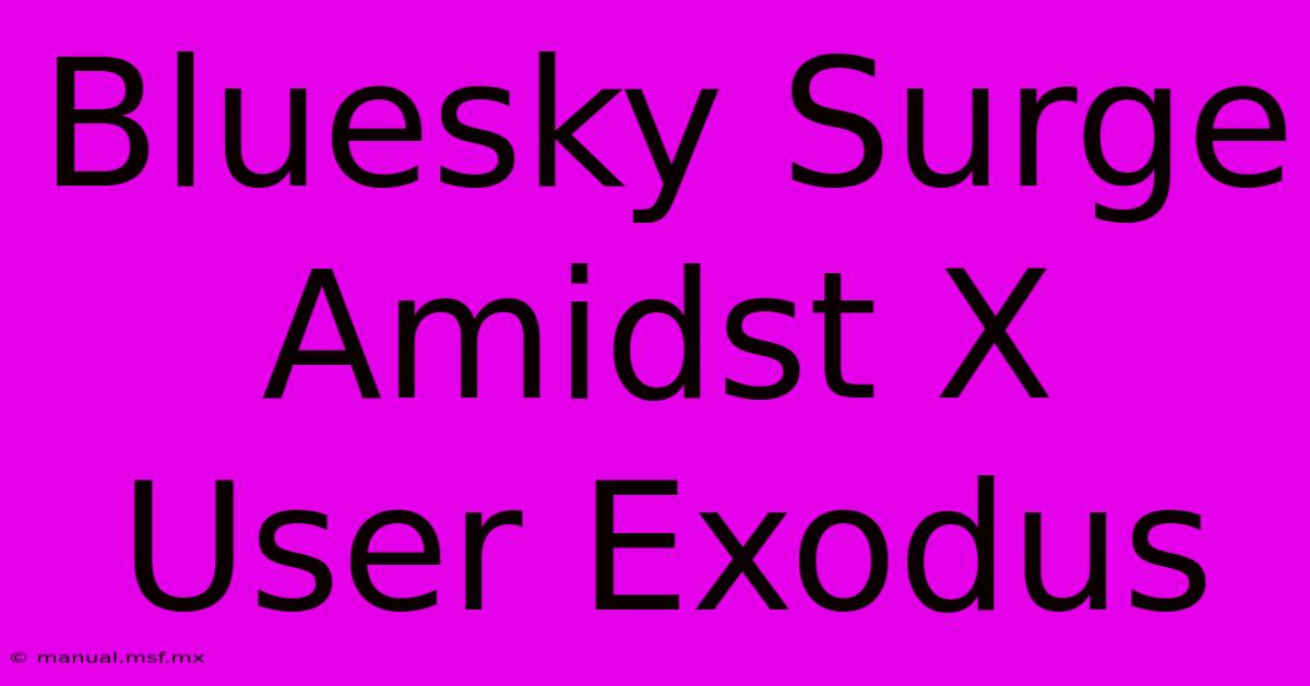 Bluesky Surge Amidst X User Exodus