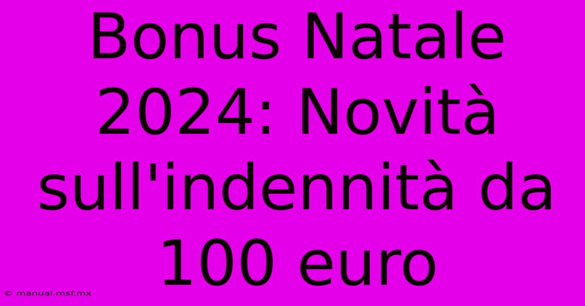 Bonus Natale 2024: Novità Sull'indennità Da 100 Euro 