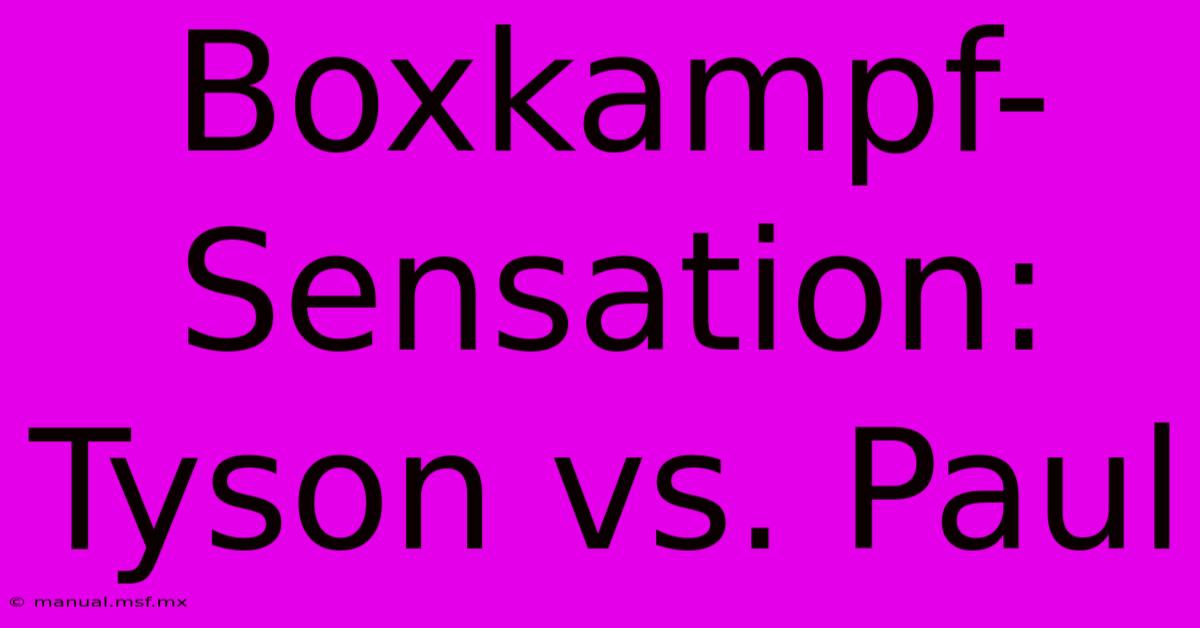 Boxkampf-Sensation: Tyson Vs. Paul