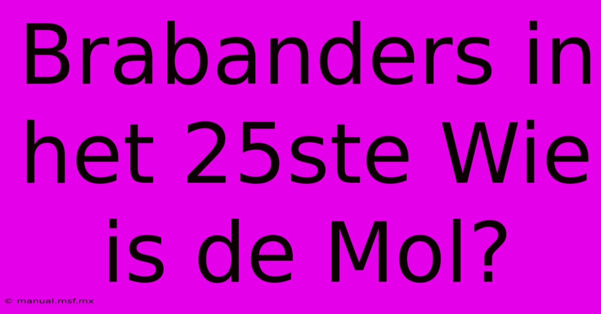 Brabanders In Het 25ste Wie Is De Mol? 