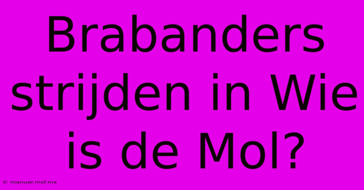 Brabanders Strijden In Wie Is De Mol?