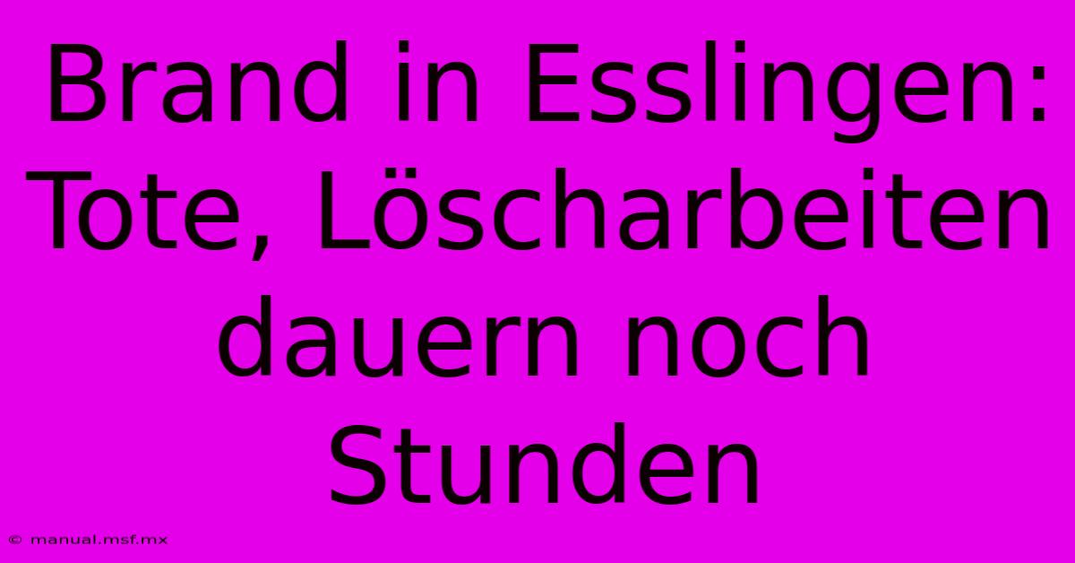 Brand In Esslingen: Tote, Löscharbeiten Dauern Noch Stunden 