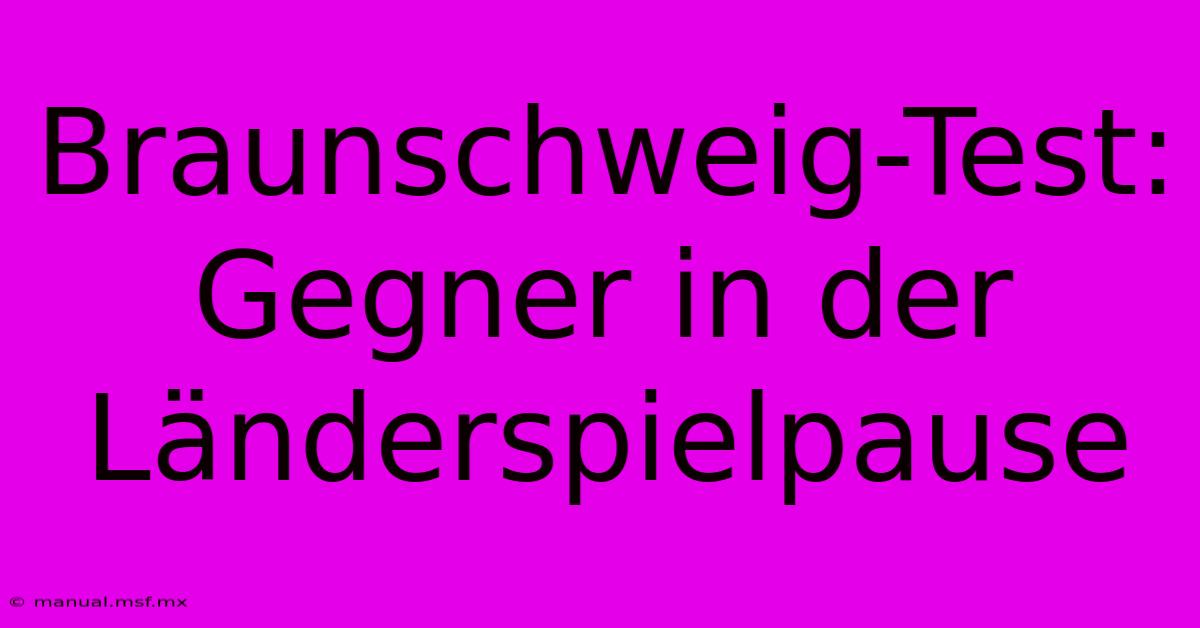 Braunschweig-Test: Gegner In Der Länderspielpause