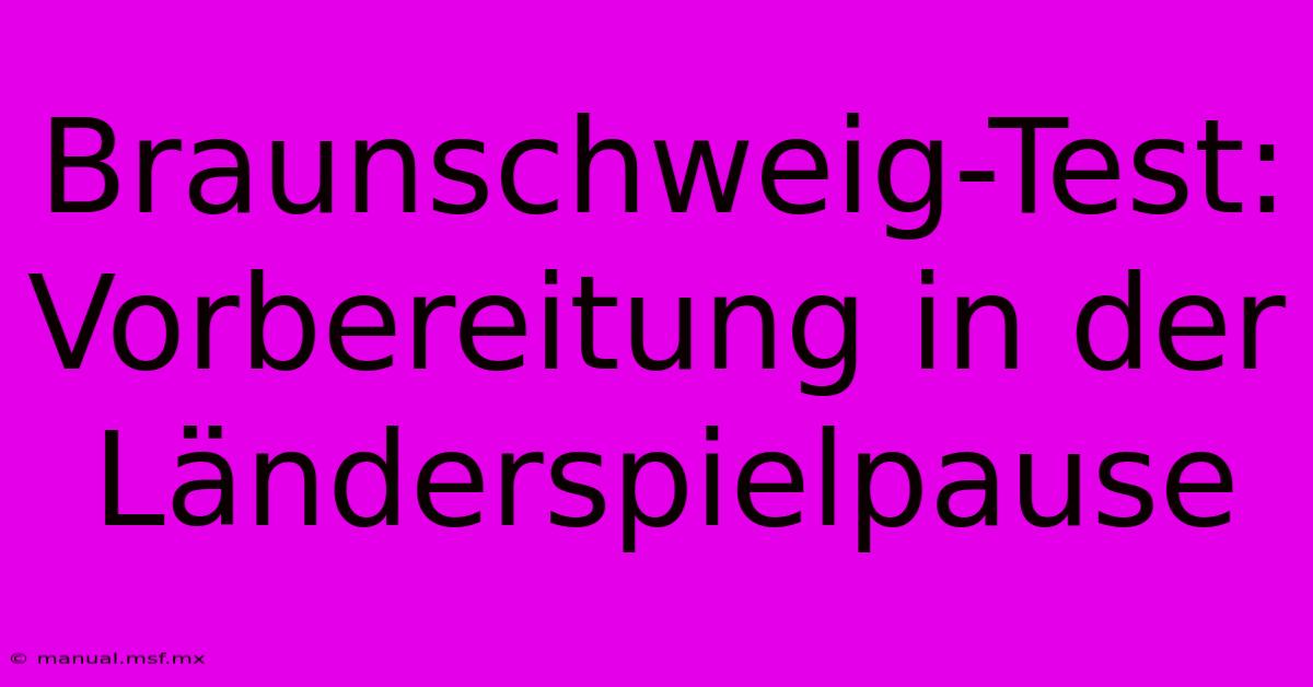 Braunschweig-Test: Vorbereitung In Der Länderspielpause 