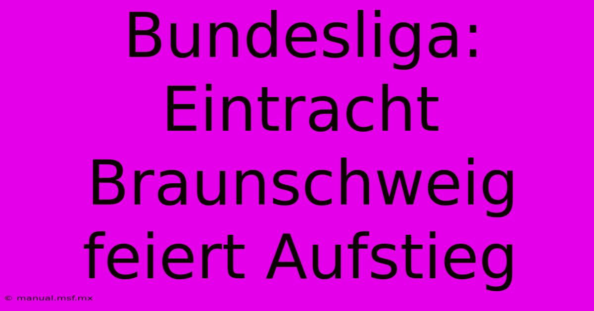 Bundesliga: Eintracht Braunschweig Feiert Aufstieg 