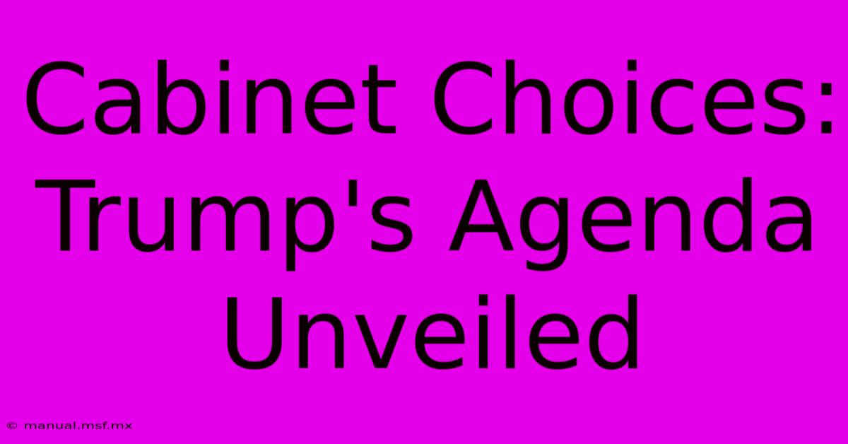 Cabinet Choices: Trump's Agenda Unveiled