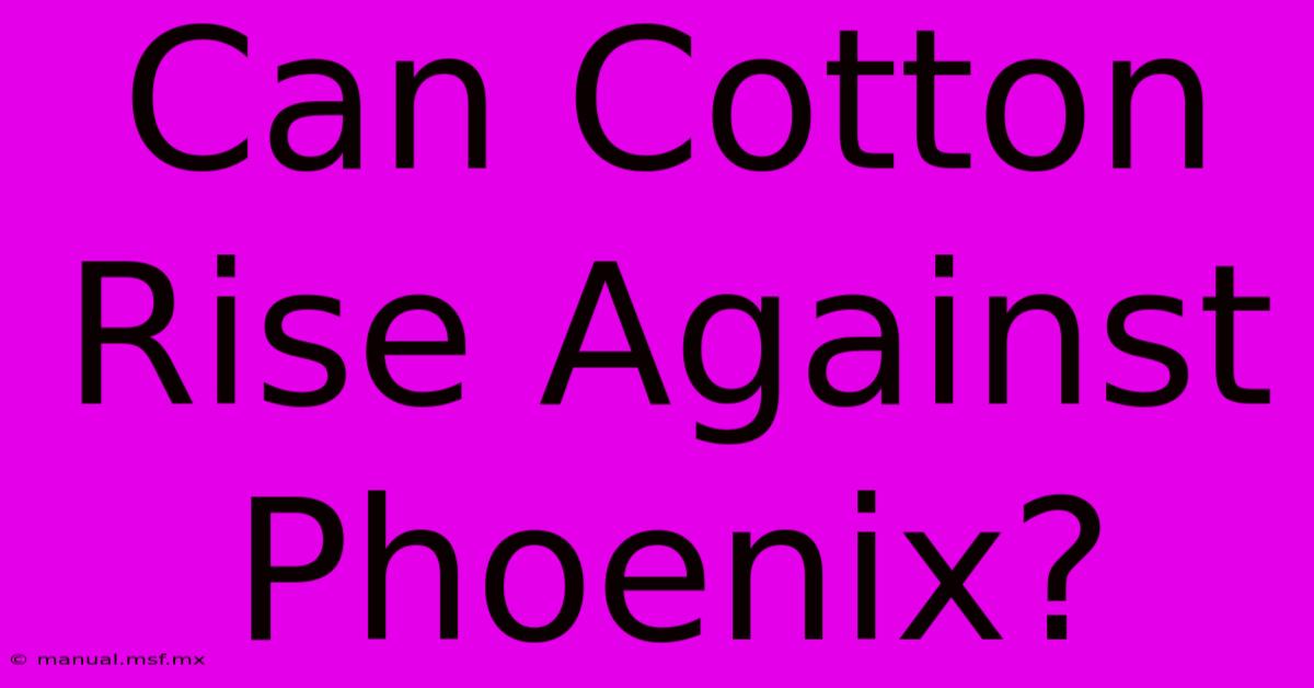 Can Cotton Rise Against Phoenix?