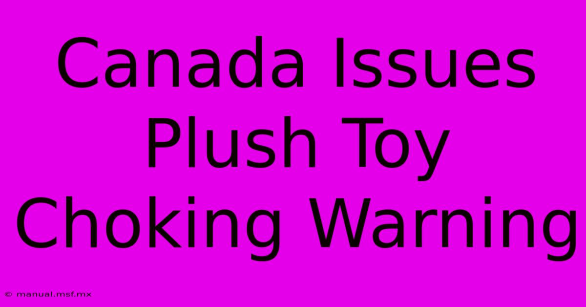 Canada Issues Plush Toy Choking Warning