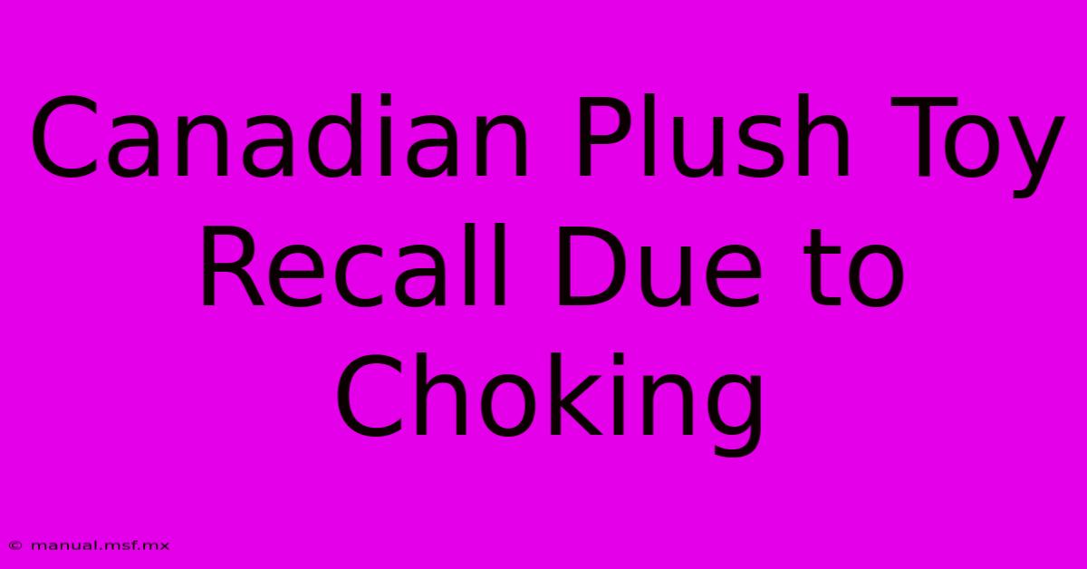 Canadian Plush Toy Recall Due To Choking