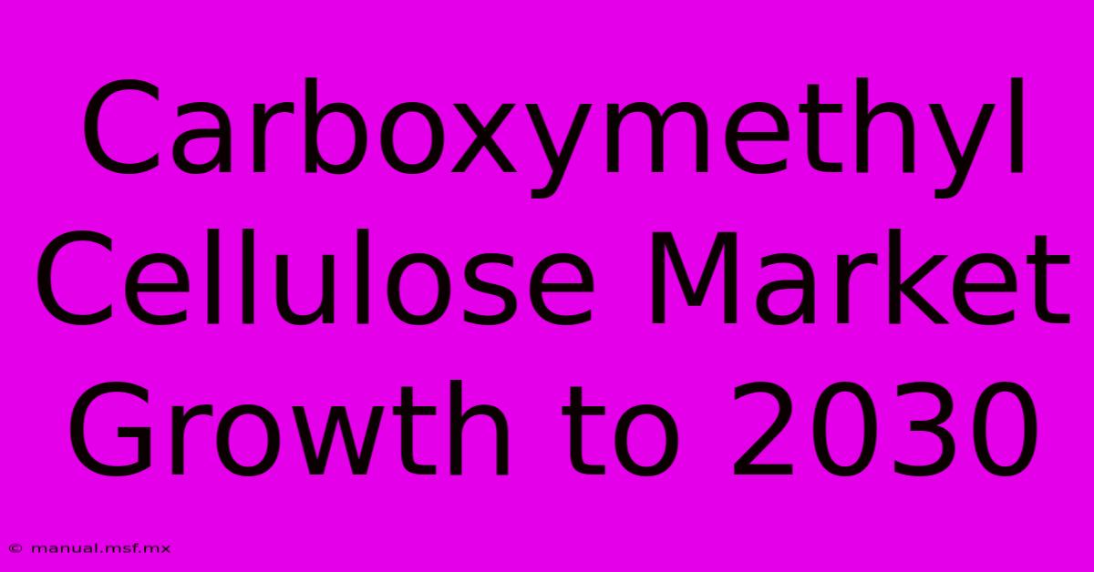 Carboxymethyl Cellulose Market Growth To 2030