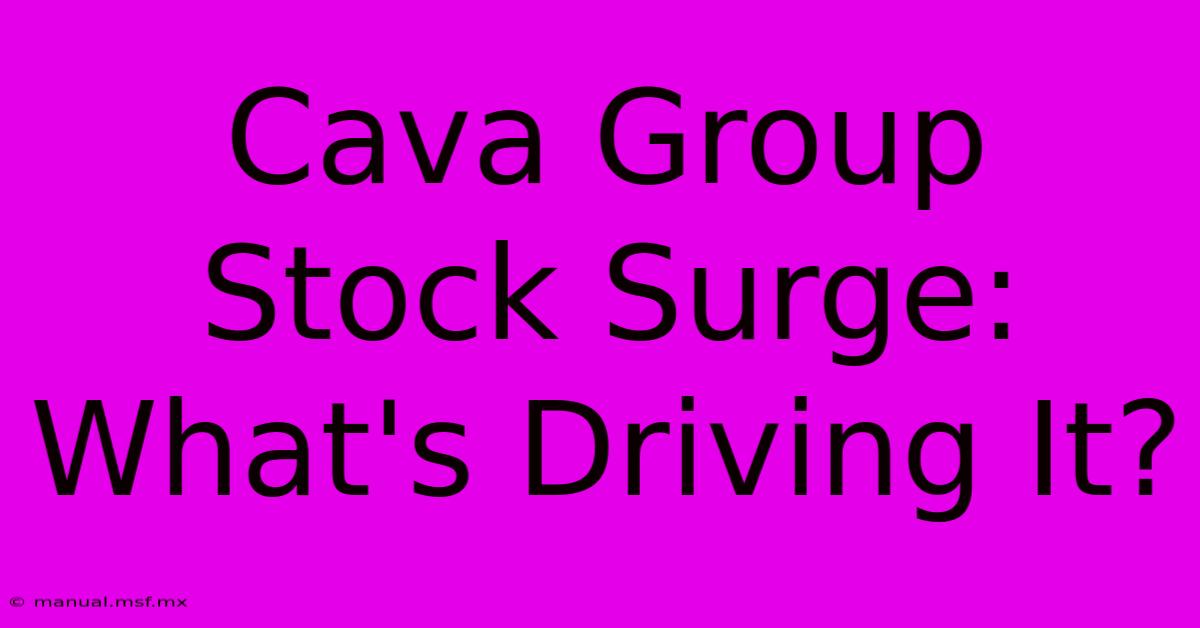 Cava Group Stock Surge: What's Driving It?