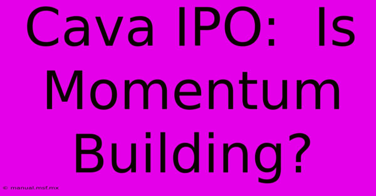 Cava IPO:  Is Momentum Building?