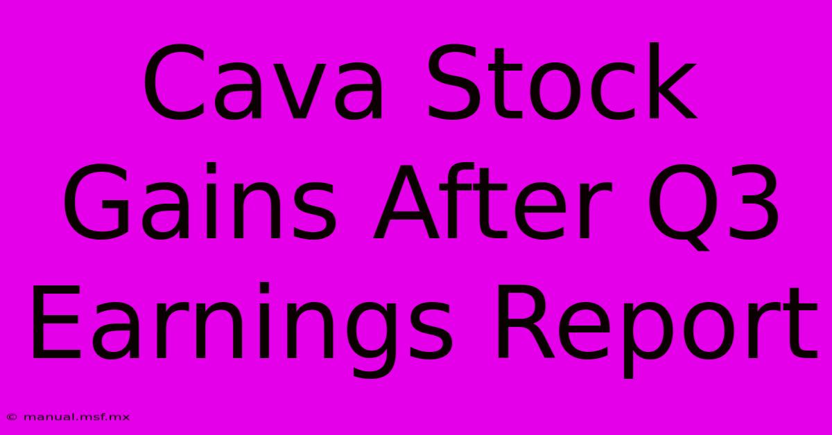 Cava Stock Gains After Q3 Earnings Report 