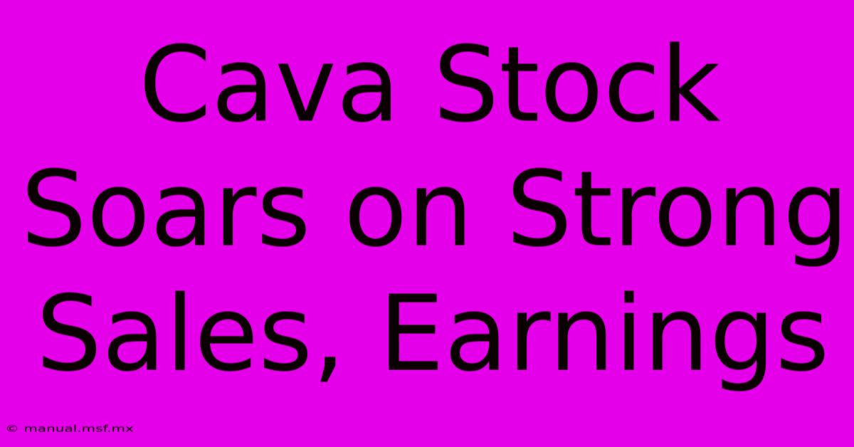 Cava Stock Soars On Strong Sales, Earnings